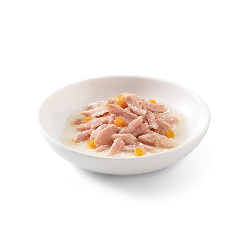 Schesir in Broth 6 x 70g Chicken Fillet