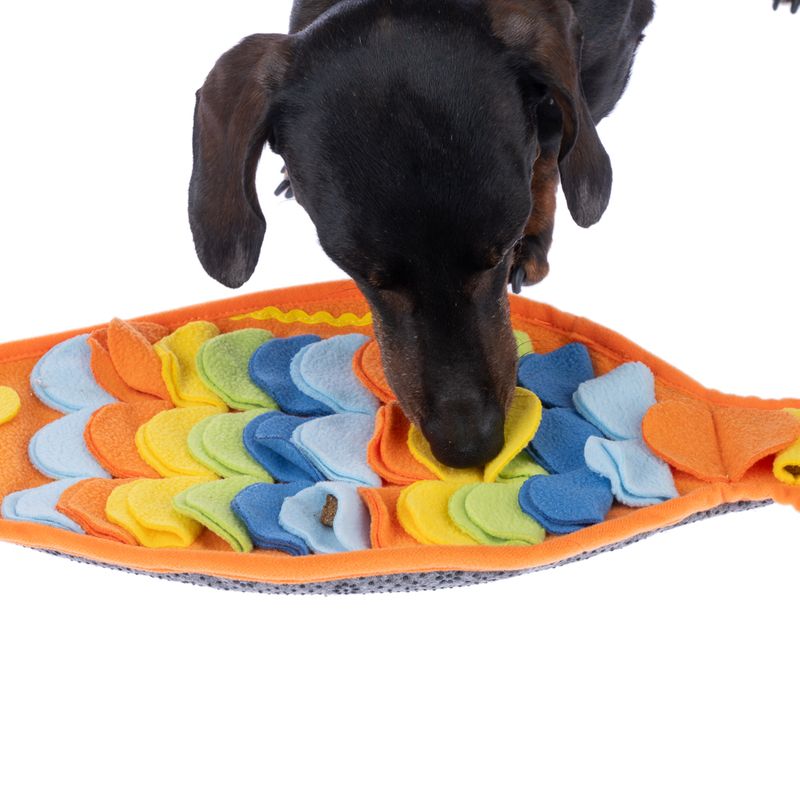 TIAKI Rainbow Fish Sniffing Mat approx. 48 x 25cm (L x W)