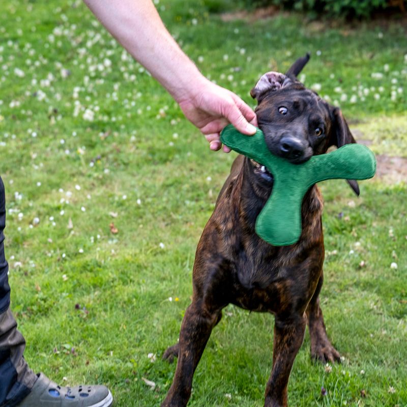 Nomad Tales Blush Plush Boomerang Dark Green