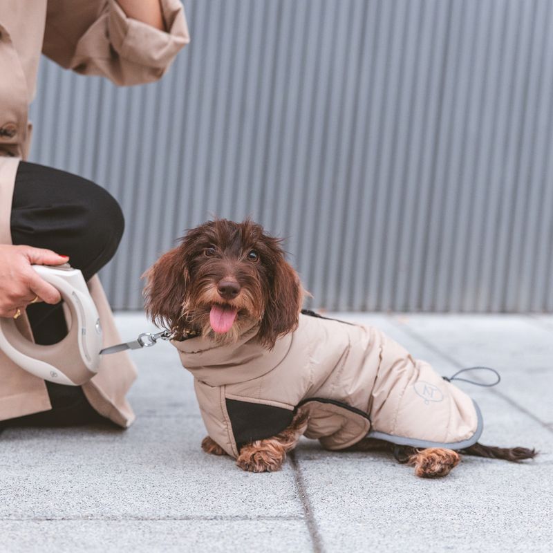 Nomad Tales Calma Retractable Lead with LED up to 15kg, approx. 3m (L)