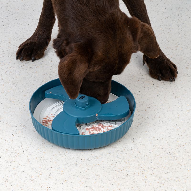 TIAKI Helice Slow Feeder 1000ml (25.5cm Diameter)