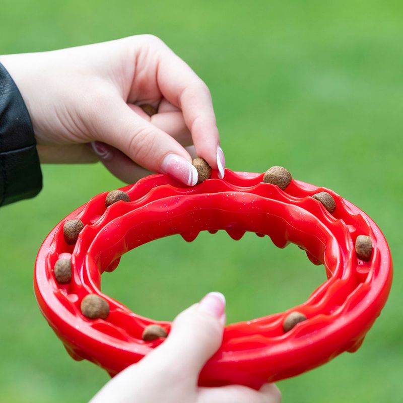 Ferplast Smile chewing ring, red Size S: diameter 12 x H 2.4 cm