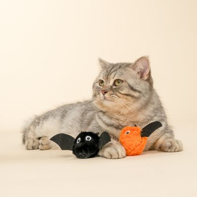 TIAKI Halloween Bat Cat Toy Set Set of 2
