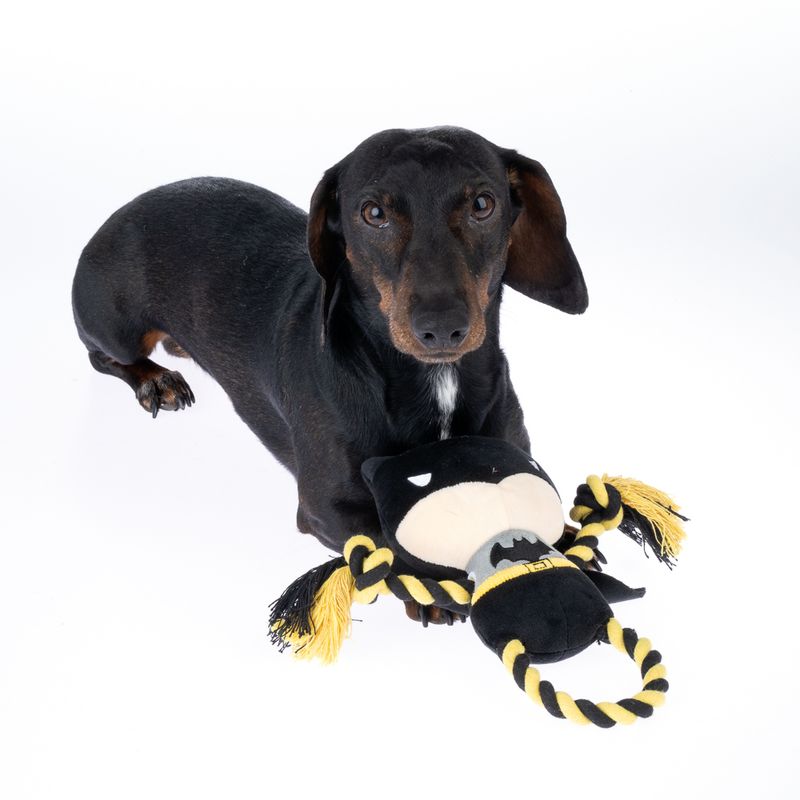Warner Bros™ DC Batman Rope Dog Toy 25 x 16 cm (L x W)