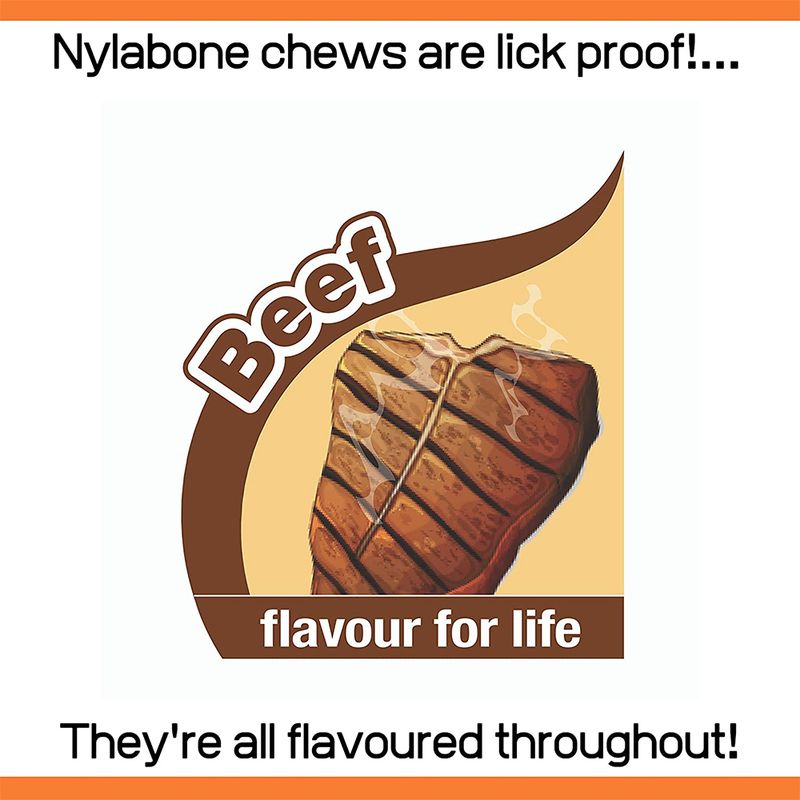 Nylabone Puppy X Bone Chew Toy 9 x 9 x 3.5cm (L x W x H)