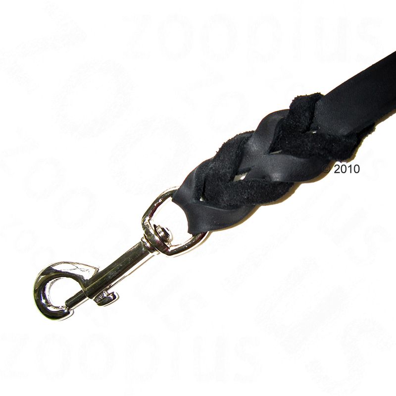 Heim Plaited Leather Dog Lead - Black 200cm