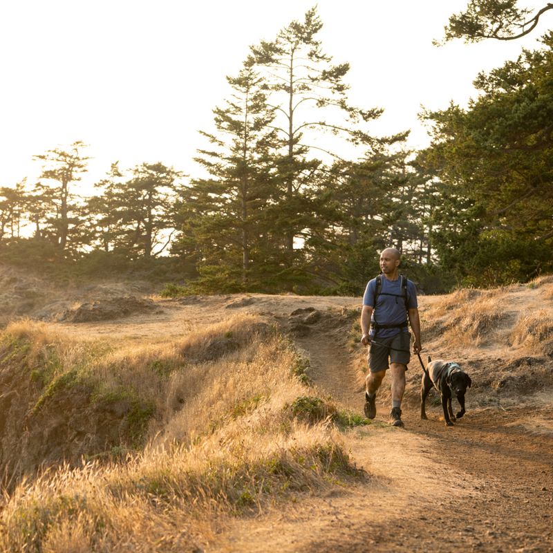 Ruffwear Front Range Dog Harness - River Rock Green Size XS: 43 - 56cm Chest Circumference