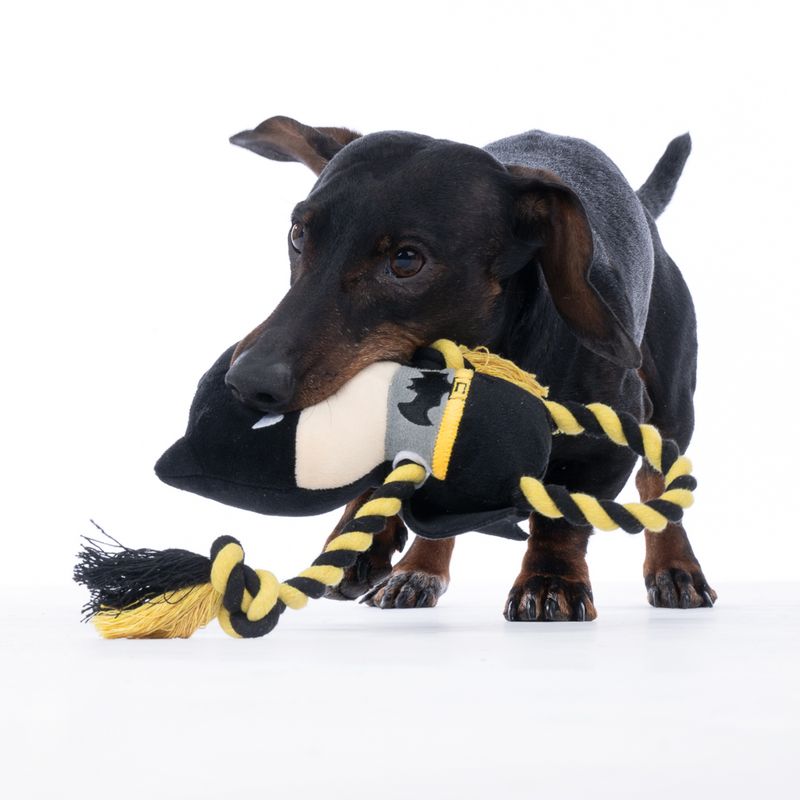 Warner Bros™ DC Batman Rope Dog Toy 25 x 16 cm (L x W)