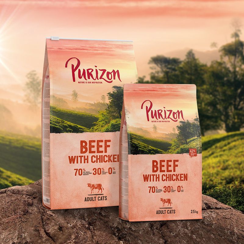Purizon Adult Grain-Free Beef with Chicken 400g