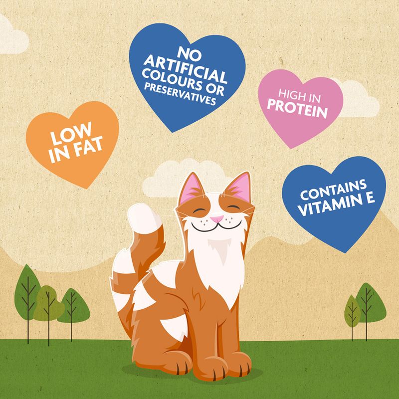 Meowee! Tuna Fillet Strips Saver Pack: 3 x 35g