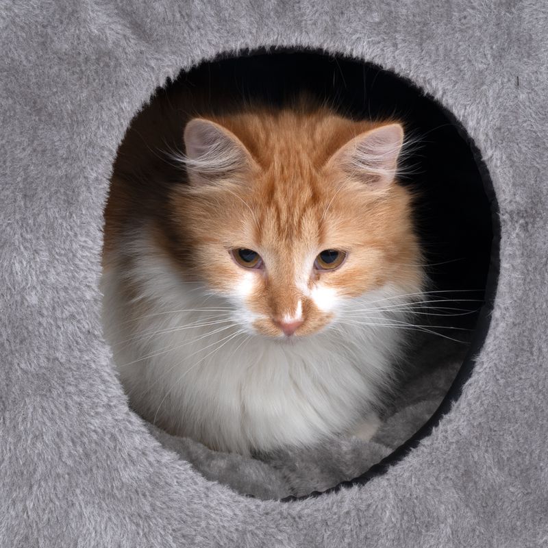 zooplus Basics Cat Den 43 x 43 x 41 cm (L x W x H)