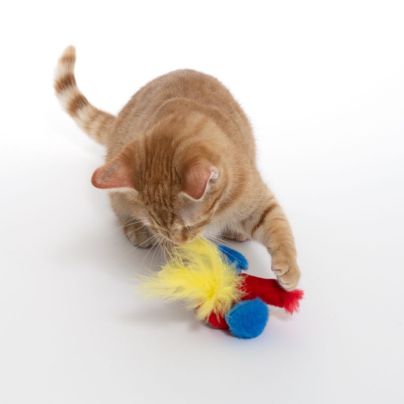 TIAKI Paquita Electronic Cat Toy 1 Toy