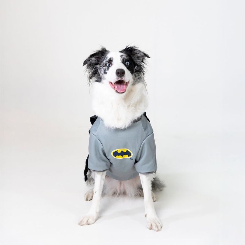 Warner Bros™ DC Batman Dog Costume Size S/M: 35cm Back Length
