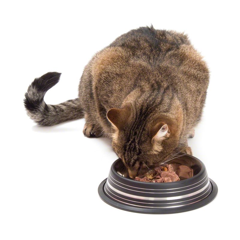 Silver Line Stainless Steel Cat Bowl – Matte Black 200 ml, Diameter 15 cm