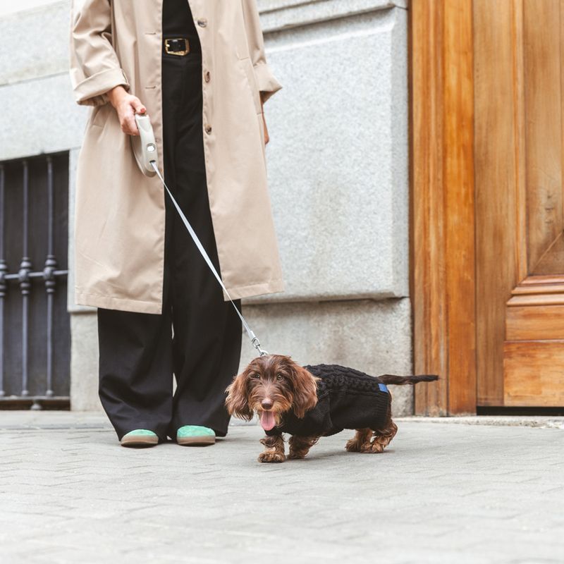 Nomad Tales Blush Dog Jumper - Ebony approx. 35cm Back Length