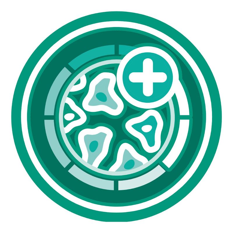 PURINA ONE Senior +11 Chicken 4 x 1,5 kg