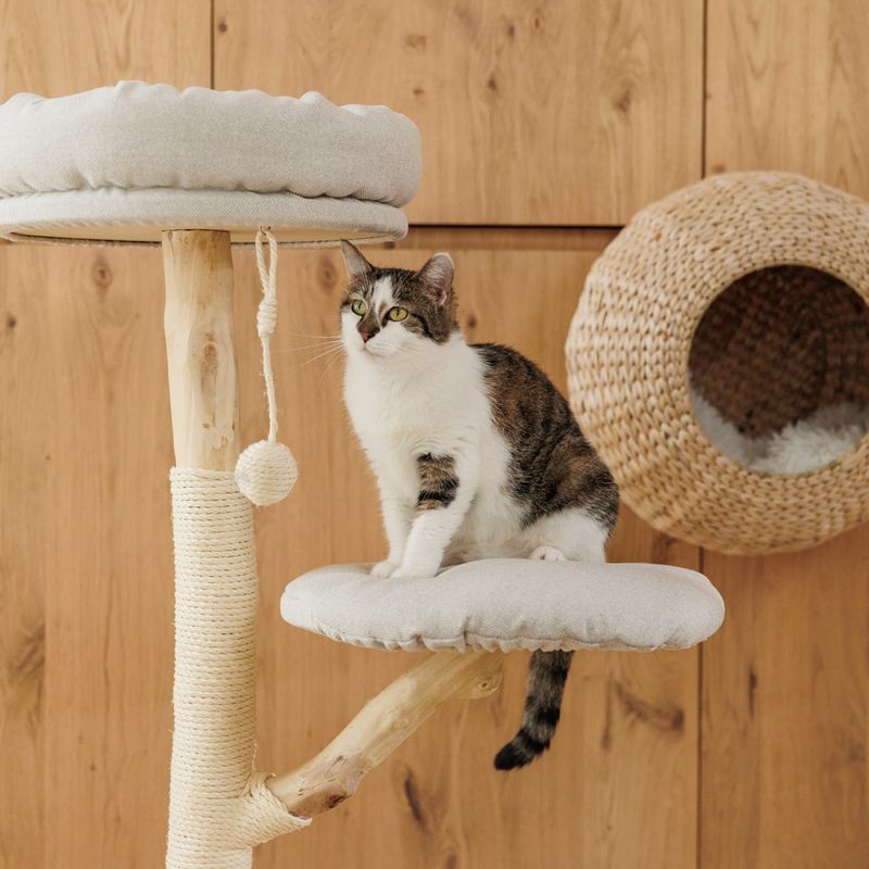 Modern Living Luxor Wall-Mounted Cat Bed 45 x 25 x 45cm (L x W x H)