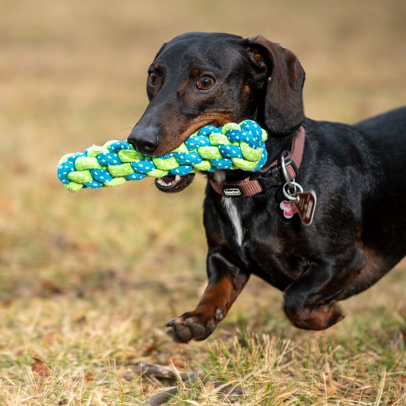 Dog toy Limoen Stick approx. diameter 4 x L 20 cm