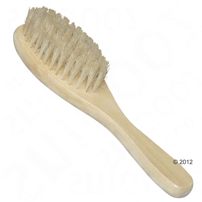 Pet Brush with Natural Bristles 17cm