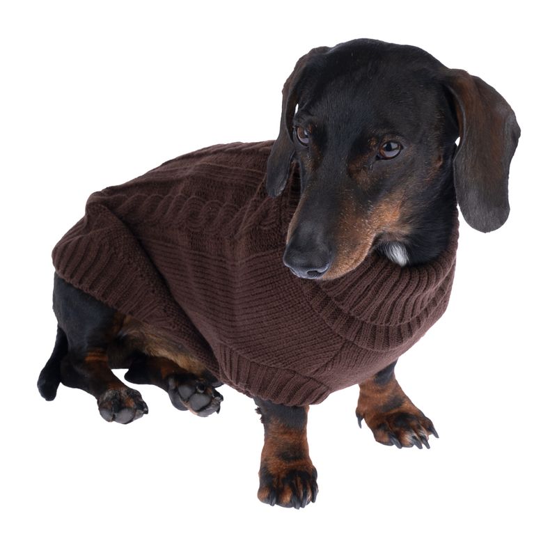 zooplus Basics Brown Dog Jumper approx. 35cm Back Length