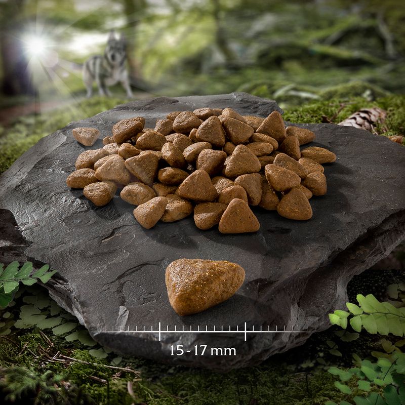 Wolf of Wilderness Sensitive Adult \