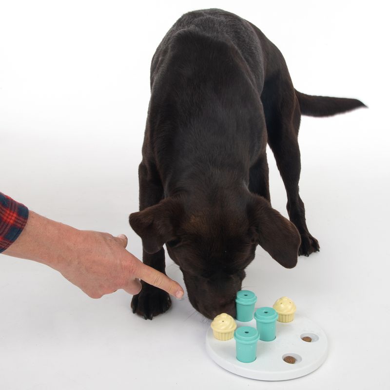 TIAKI Intelligence Toy Breakfast L 19.5 x W 19.5 x H 6 cm