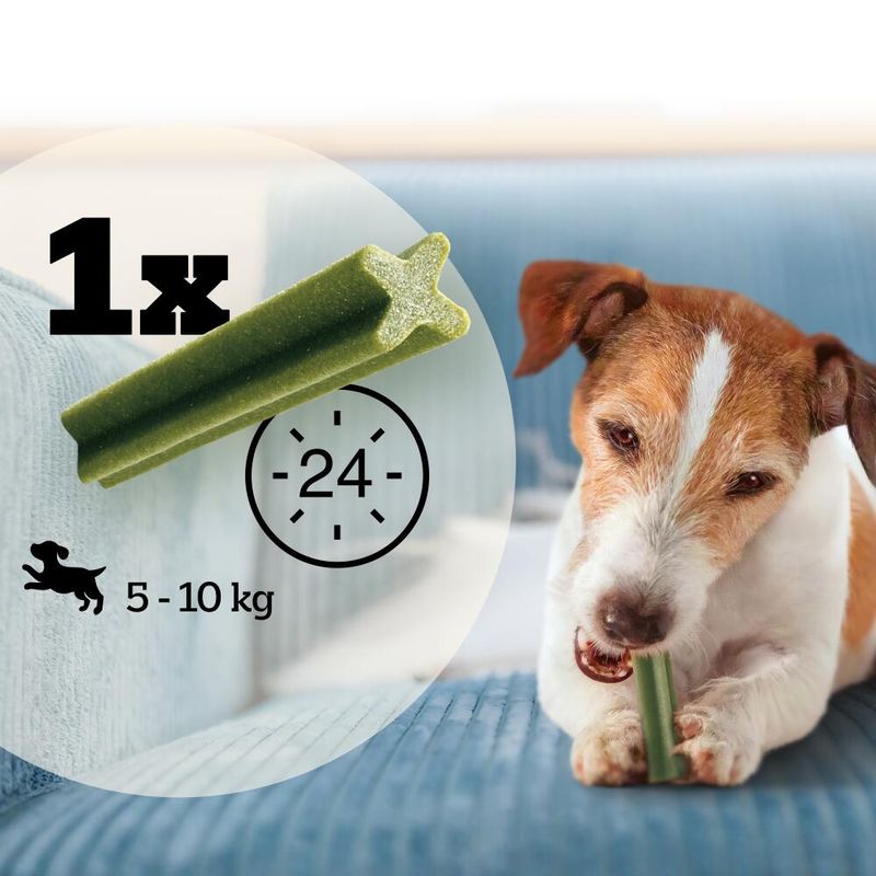 Pedigree Dentastix Fresh - Daily Freshness for Small Dogs (5-10kg) 28 Sticks