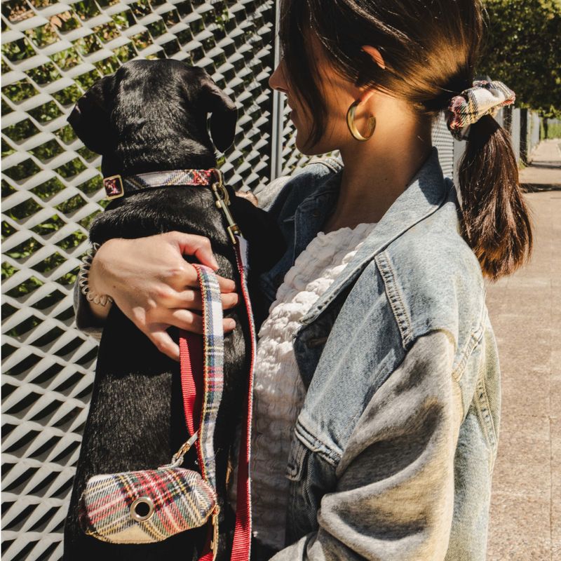 Nomad Tales Tartan Collar, Lead, Poop Bag Dispenser & Scrunchie Set Collar Size L: 42 - 66 cm Neck Circumference