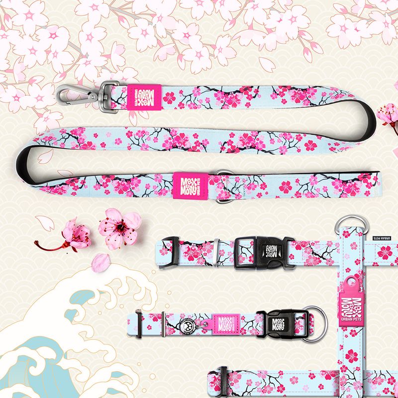 Max & Molly Cherry Bloom Multifunctional Leash S: 200cm x 15mm (L x W)