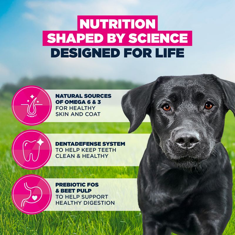 Eukanuba Premium Nutrition Adult Large & Giant Breed Chicken 15kg