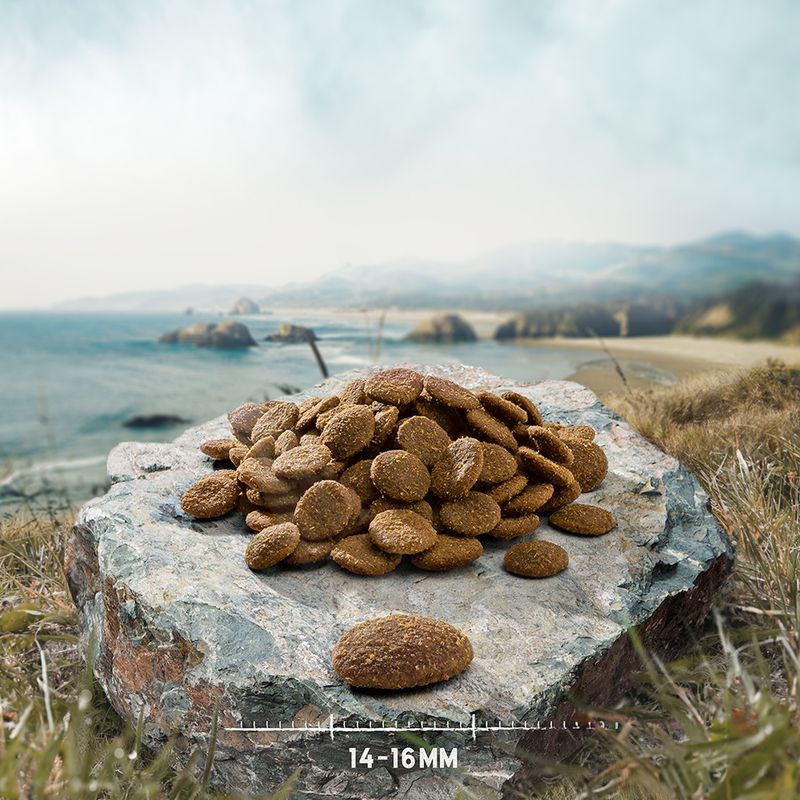 Purizon Duck with Beef Adult - Grain-Free 1kg