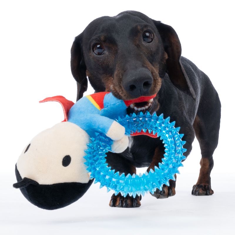 Warner Bros™ DC Superman Dog Toy with Ring Approx. 17 x 16 x 5cm (L x W x H)