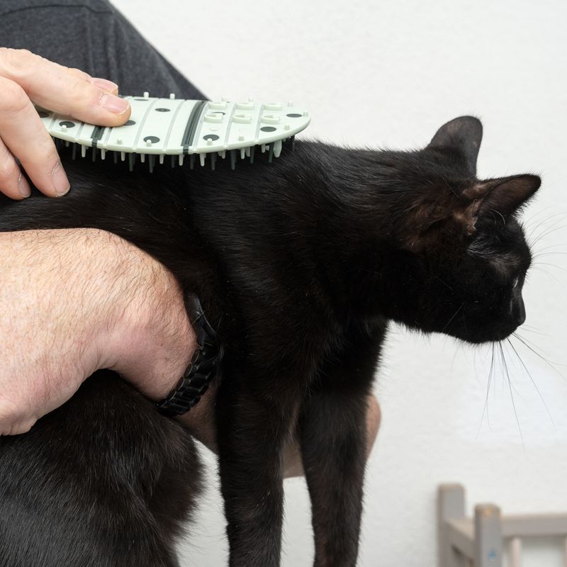 kooa 2-in-1 Corner Cat Brush 1 Brush