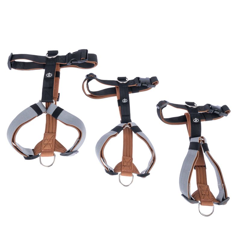 Nomad Tales Spirit Multi-Ring Harness Size S: approx. 40 - 58 cm Chest Circumference