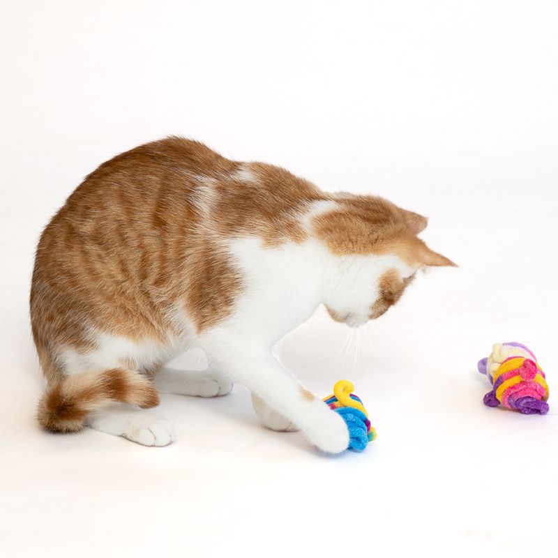 TIAKI wool ball set Pack of 3