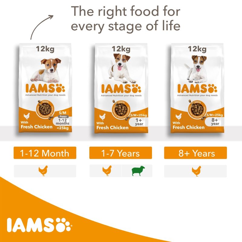 IAMS Advanced Nutrition Puppy & Junior Small & Medium Dog - Chicken 3kg