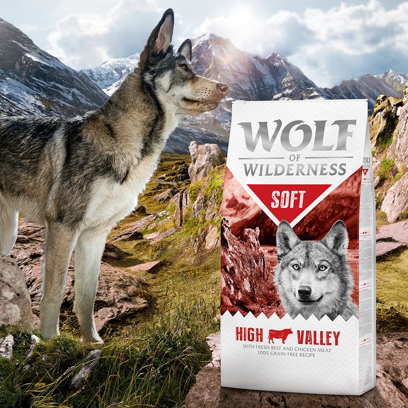 Wolf of Wilderness Soft “High Valley” - Beef 1kg