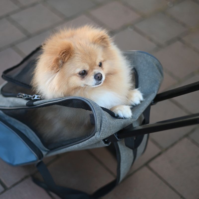 Kerbl Pet Carrier Bag Trolley Vacation 41 x 26 x 55cm (L x W x H)