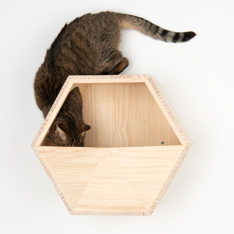 Lulu Wall Mounted Cat Den 49 x 30 x 42.5cm (L x W x H)