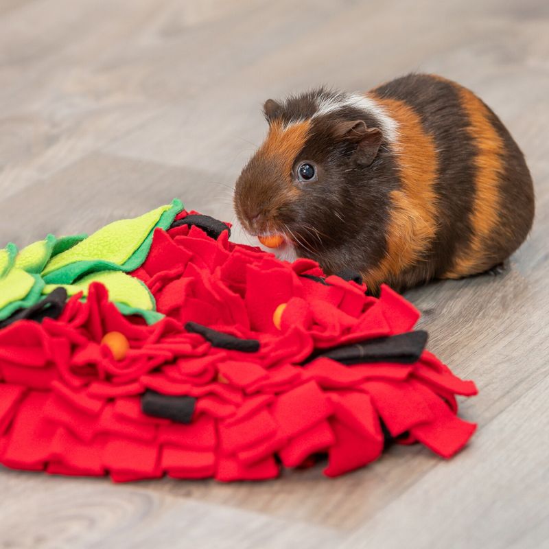 Trixie Strawberry Sniffer Rug 40 x 33cm (L x W)