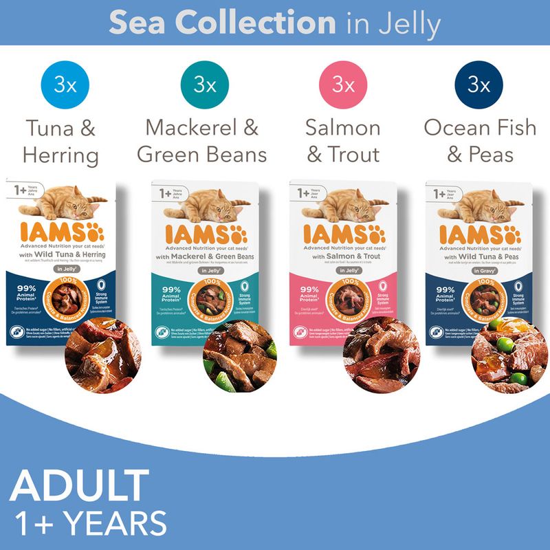 IAMS Advanced Nutrition Adult – Sea Collection Sea Collection in Jelly (12 x 85g)