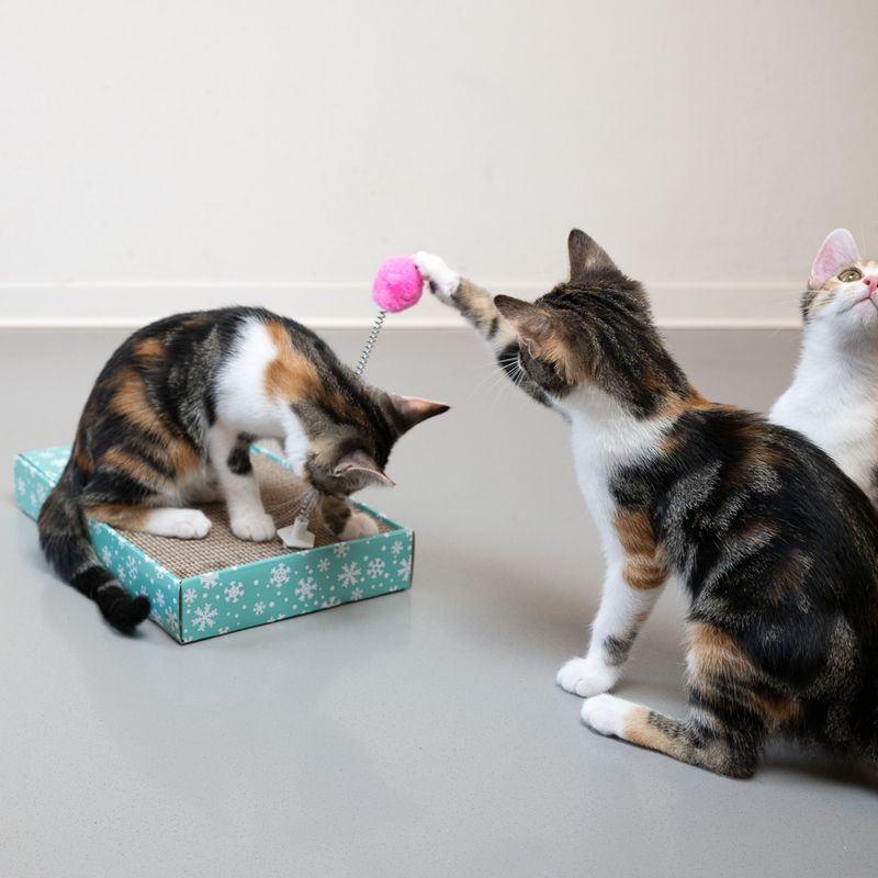 TIAKI Xmas Scratching Board 1 Scratching Board