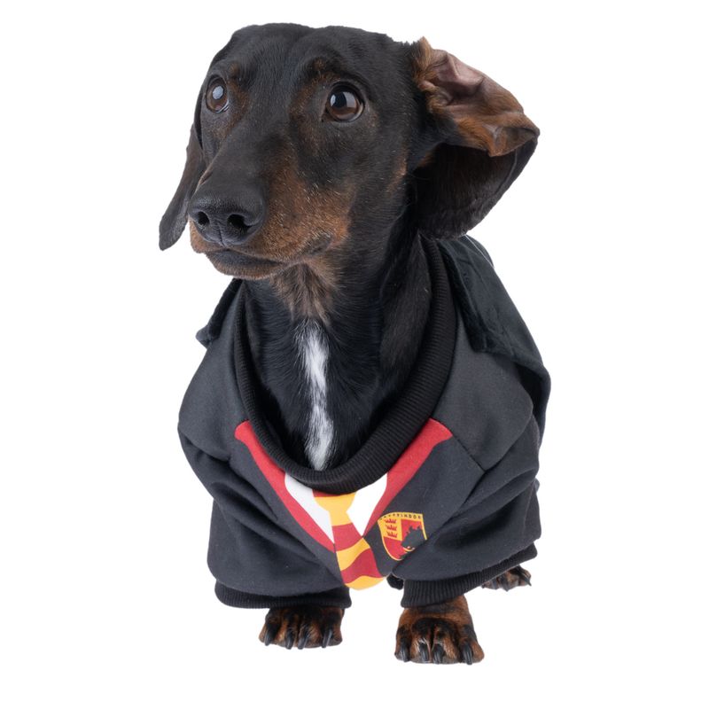 Harry Potter Dog Costume Size S/M: Back Length 35cm