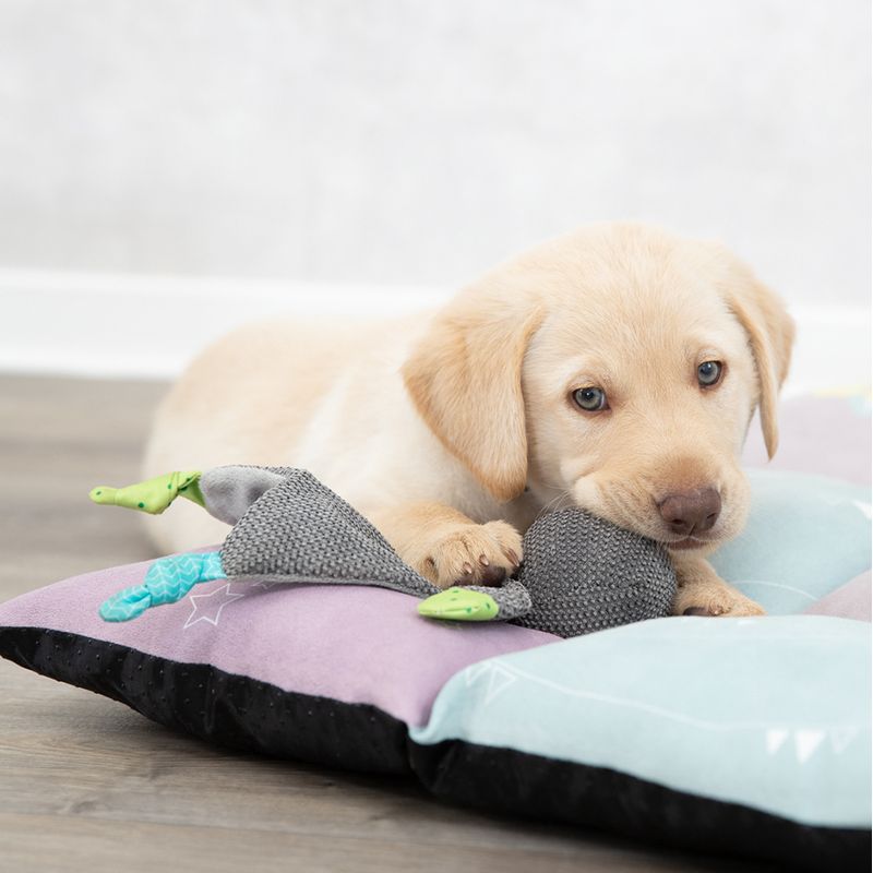 Trixie Junior Bear approx. 28cm