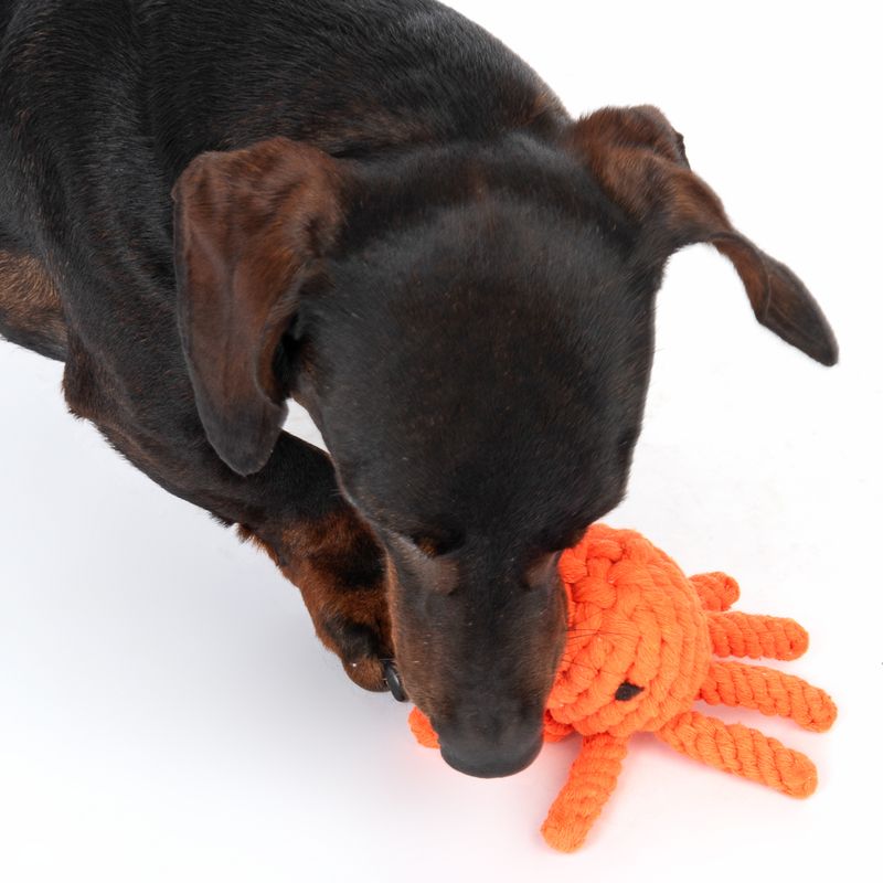 TIAKI Dog Toy Octopus approx. Ø 12 x H 7 cm