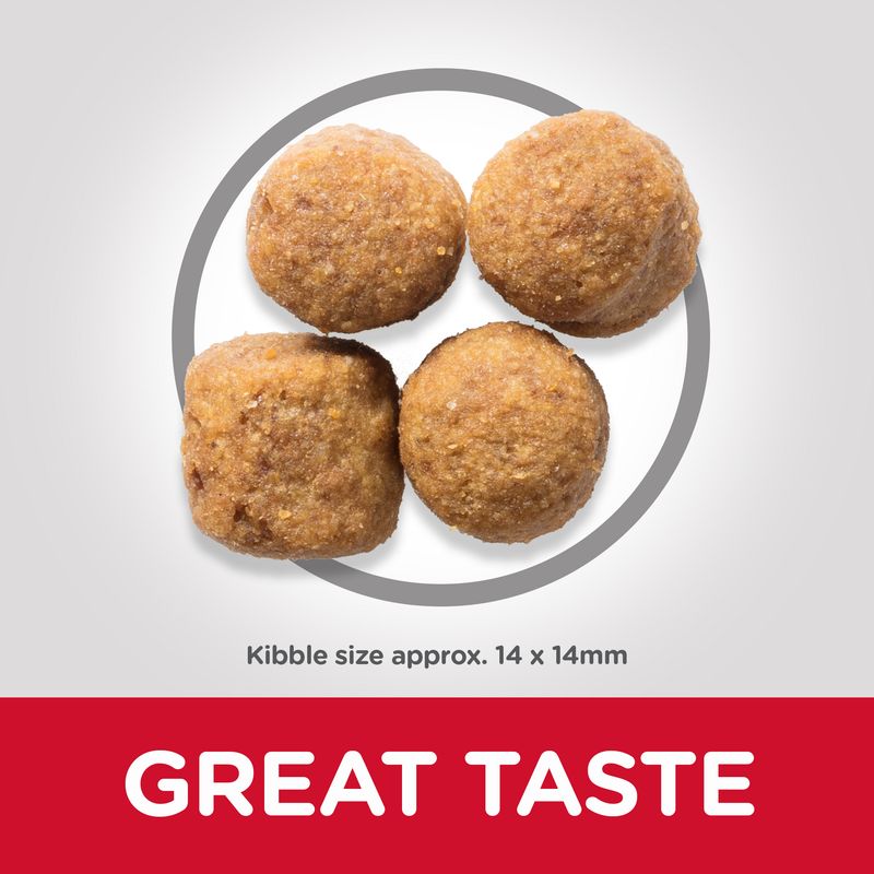 Hill's Science Plan Adult 1-5 Large Breed with Chicken 2.5kg