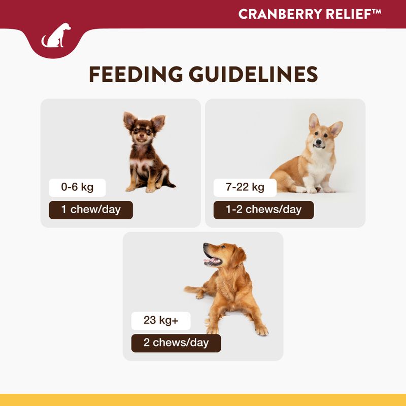 NaturVet Cranberry Relief 60 Chews