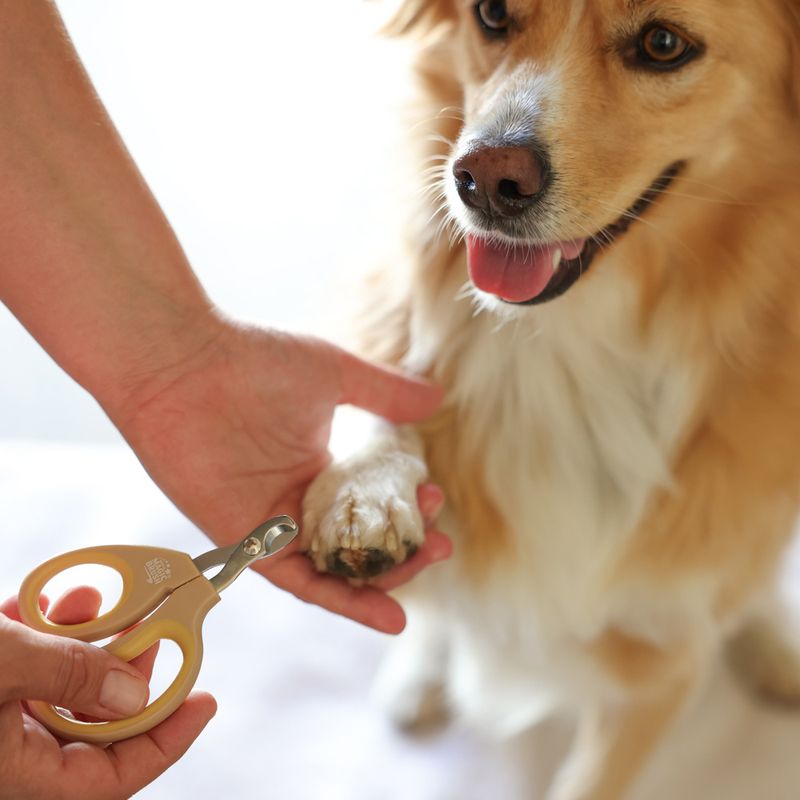 Magic Brush Claw Scissors 1 pair of scissors