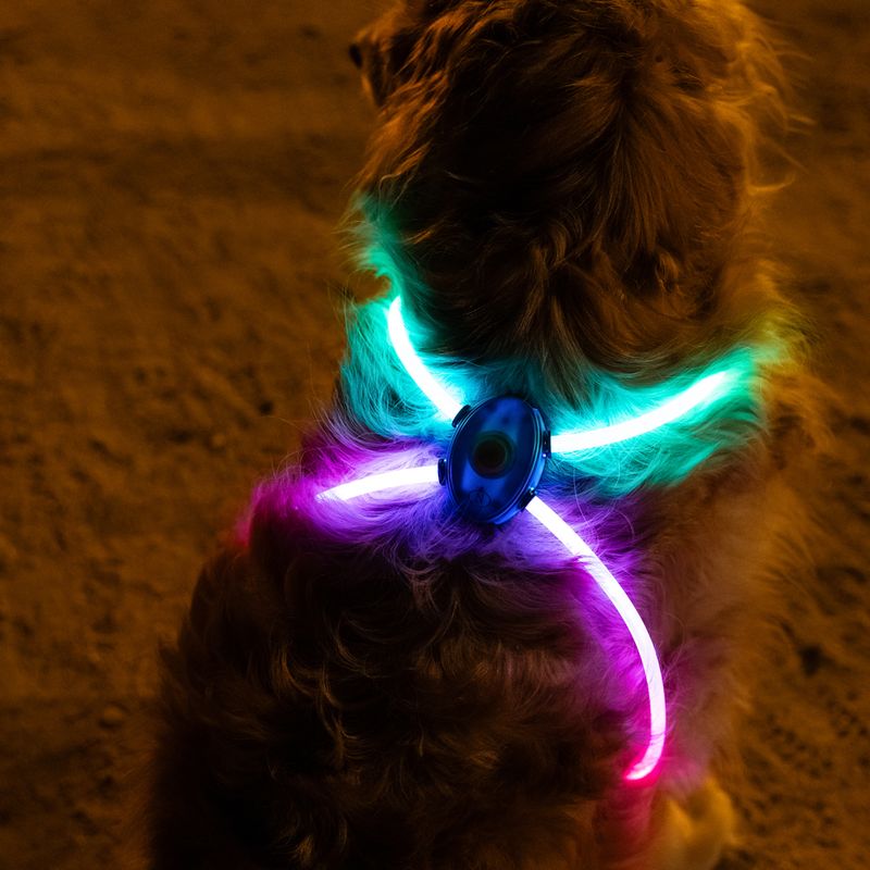 Nomad Tales Spirit USB LED Harness One Size: 90cm (max. Chest Circumference)