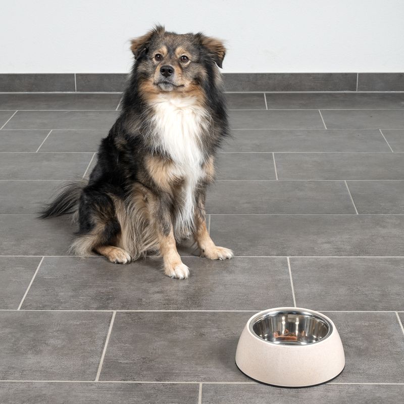 Modern Living Organic Sichuan Dog Bowl 850ml